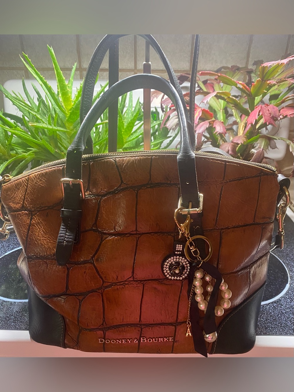 Dooney & Bourke crocodile-embossed leather satchel in brown with black trim